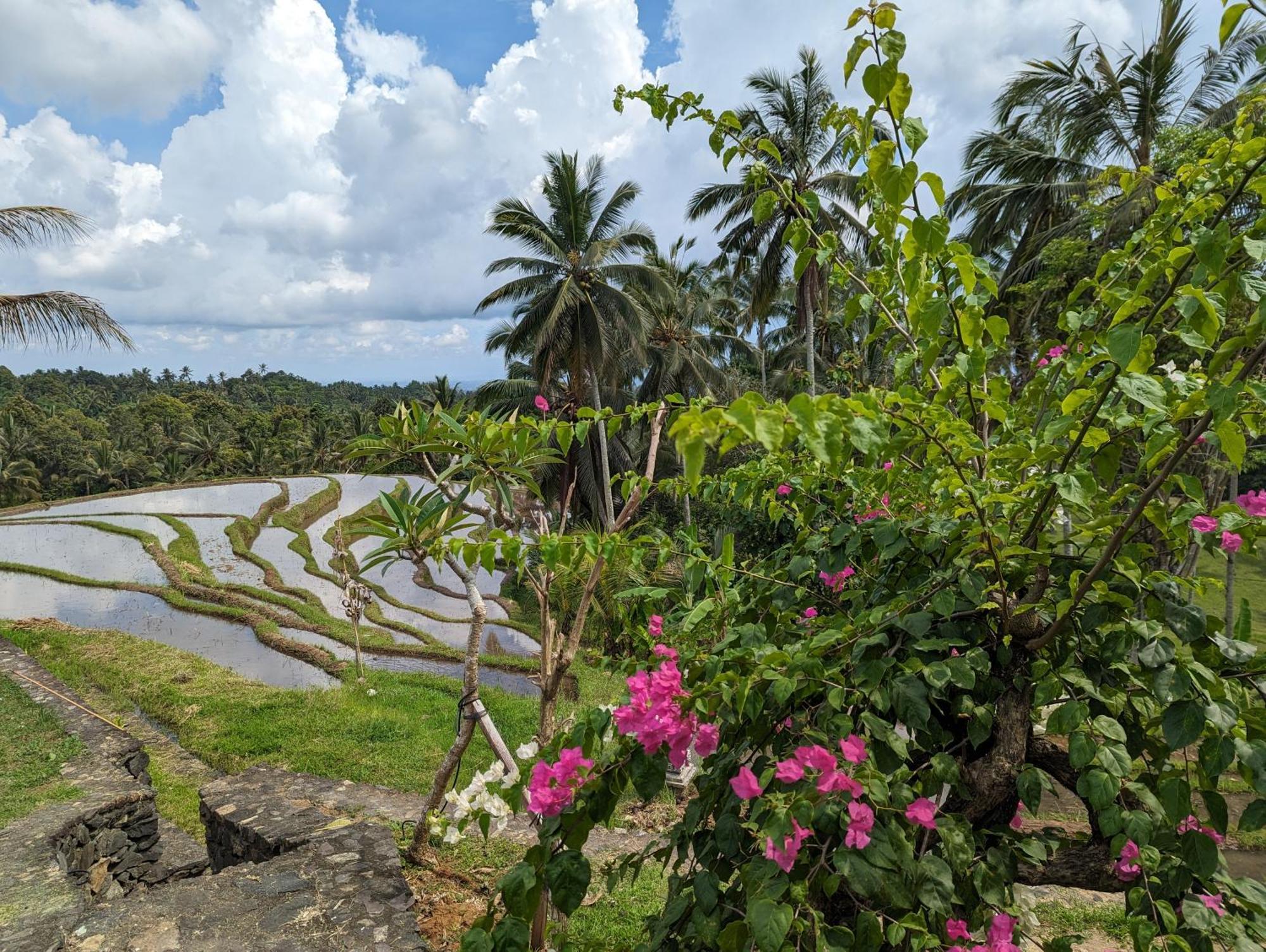 Puri Dajuma Terrace Eco Lodge & Spa Selemadeg  Exterior foto
